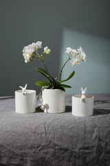 Peeking Bunny Ceramic Pot By Accent Decor