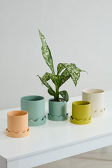 Pissaro with Saucer Matte Wavy Pots By Accent Decor