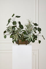 Pressed Snowflake Trough Vessel By Accent Decor