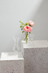 Queensland Footed Glass Bud Vases By Accent Decor