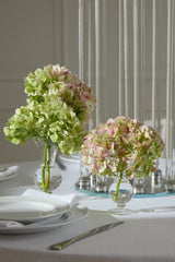 Queensland Footed Glass Bud Vases By Accent Decor