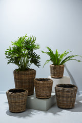 Rattan Wood Baskets By Accent Decor