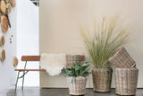 Rattan Wood Baskets By Accent Decor
