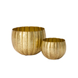 Ravi Pots By Accent Decor