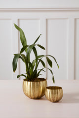 Ravi Pots By Accent Decor