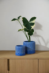 Refresh Ceramic Pots By Accent Decor