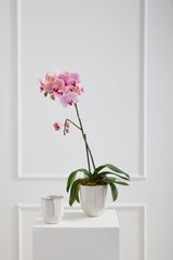Renew Ceramic Vase By Accent Decor