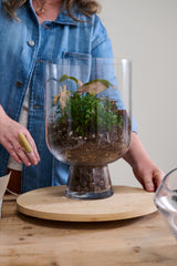 Reservoir Footed Glass Terrariums By Accent Decor