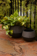 Revolution Fiber Composite Planter By Accent Decor