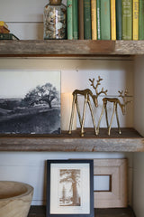 Rex Reindeer Metal Decorative Figurines By Accent Decor