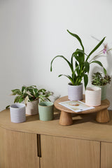 Roux Textured Ceramic Pots By Accent Decor