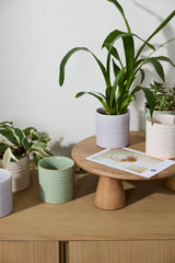 Roux Textured Ceramic Pots By Accent Decor