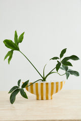 Saffron Boat-Shaped Vessel By Accent Decor