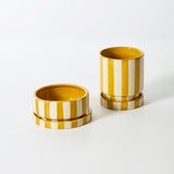 Saffron Pots By Accent Decor - 5" x 5.75"