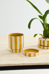 Saffron Pots By Accent Decor