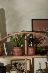 Salamanca Textured Ceramic Pots By Accent Decor
