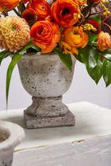 Sanctuary Ceramic Decorative Urns By Accent Decor