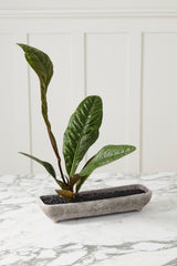 Shoal Trough Vessel By Accent Decor