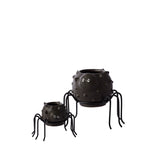 Silly Spider Pots By Accent Decor