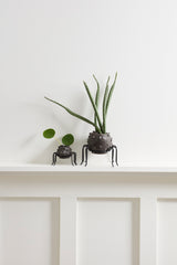 Silly Spider Pots By Accent Decor