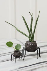 Silly Spider Pots By Accent Decor