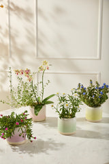 Skyway Ceramic Pots By Accent Decor