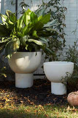 Sloan Concrete Planter By Accent Decor