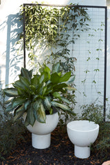Sloan Concrete Planter By Accent Decor
