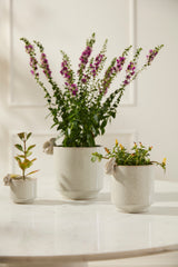 Sneaky Bunny Speckled Glossy Pots By Accent Decor