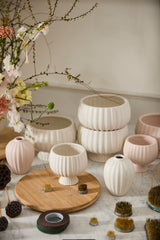 Sonata Matte Ceramic Decorative Vessels By Accent Decor
