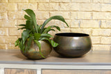 Sosa Metal Bowls By Accent Decor