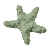 Love The Earth Sea Plush Dog Toy - Starfish 6"