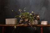 Stable Ribbed Glossy Planters By Accent Decor