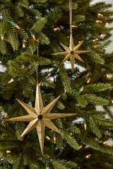 Starbright Ornaments By Accent Decor
