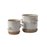 Stepped Mushroom with Saucer Pots By Accent Decor