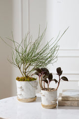 Stepped Mushroom with Saucer Pots By Accent Decor