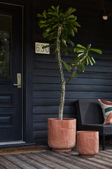 Stratford Textured Ceramic Planter By Accent Decor