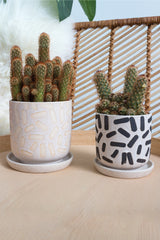 Sundae Ceramic Pots By Accent Decor