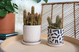Sundae Ceramic Pots By Accent Decor