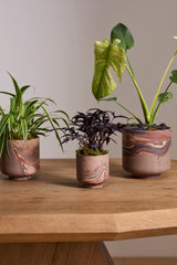 Tedros Marbled Footed Pots By Accent Decor