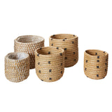 Tejida Textured Woven Baskets By Accent Decor