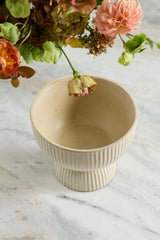 Thorn Compotes By Accent Decor