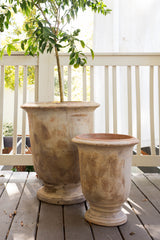 Toscano Ceramic Decorative Urn By Accent Decor