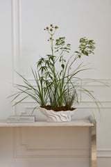 Tullia Boat-Shaped Vessel By Accent Decor
