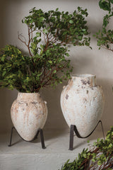 Tuscan with Concrete Planters By Accent Decor
