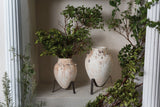 Tuscan with Concrete Planters By Accent Decor