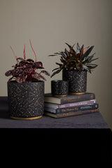 Universe Ceramic Pots By Accent Decor