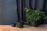 Universe Ceramic Pots By Accent Decor