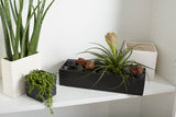 Urban Ceramic Planters By Accent Decor