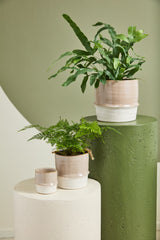 Valley Ceramic Pots By Accent Decor